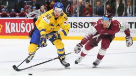Во время матча Швеция - Латвия. Фото IIHF