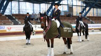 Фото Белорусской федерации конного спорта
