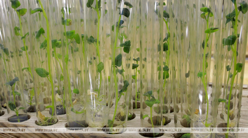 Фото из архива