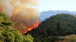 Лесной пожар в Турции. Фото marmaracagdas.com