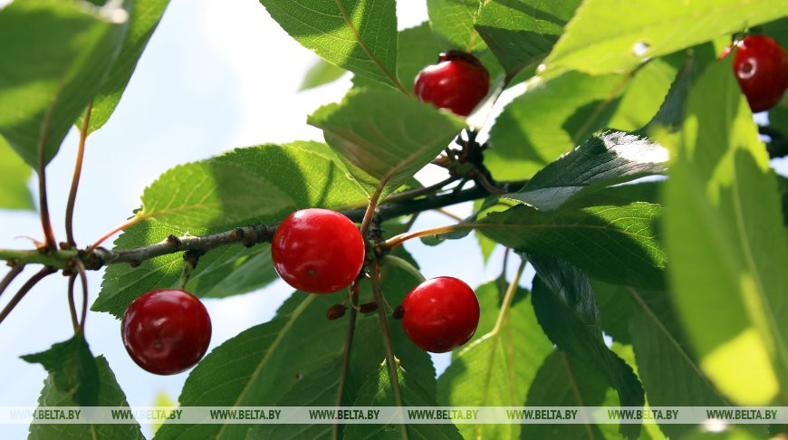 Фото из архива