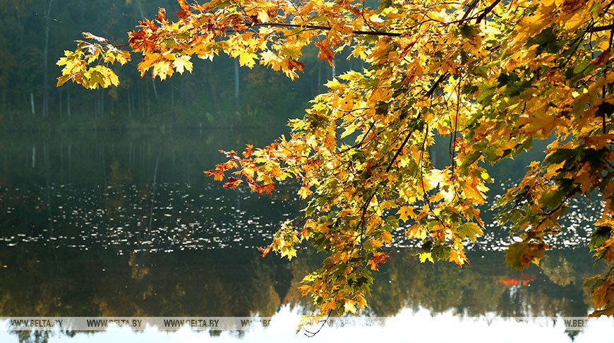 Фото из архива