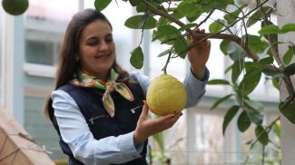 Хозяйка агроусадьбы Лариса Иванова с лимоном, вес которого достигает 900 г