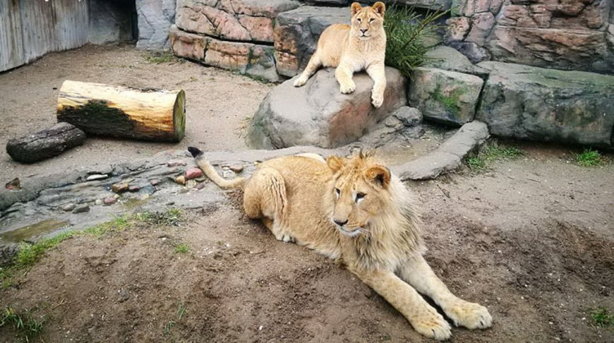 Фото Минского зоопарка