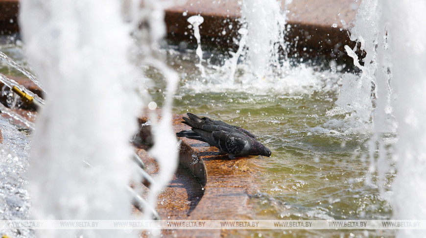 Фото из архива