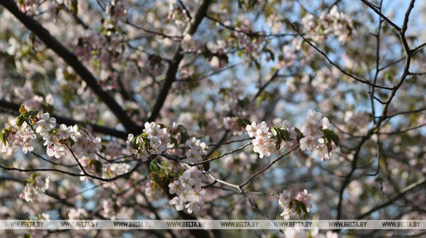 Фото из архива
