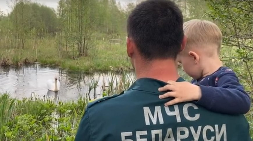 Скриншот из видеоролика