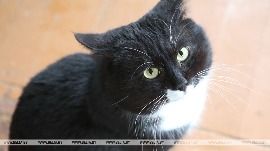 Фото из архива