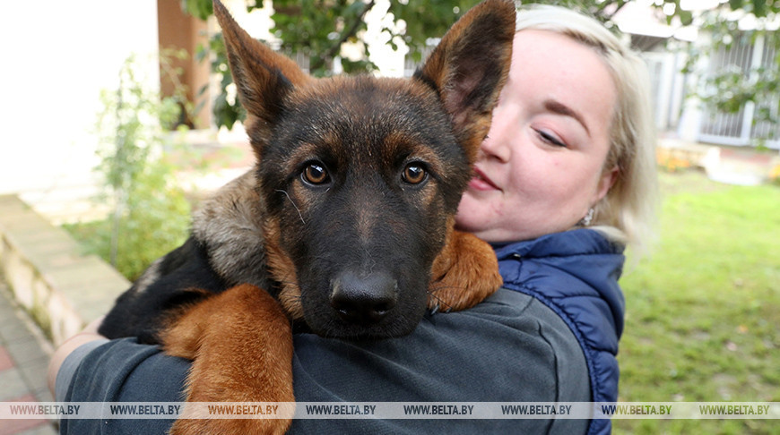 Один из подаренных щенков на руках у вожатой служебной собаки Екатерины Кыба