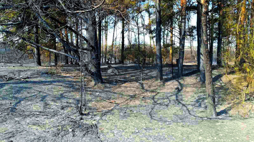 Фото Следственного комитета