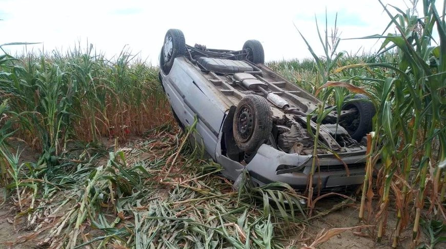 Фото УГАИ МВД