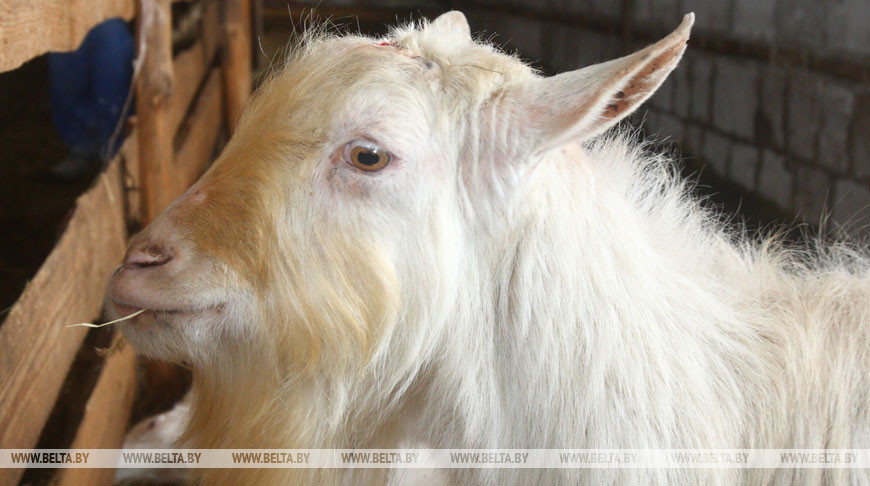 Фото из архива