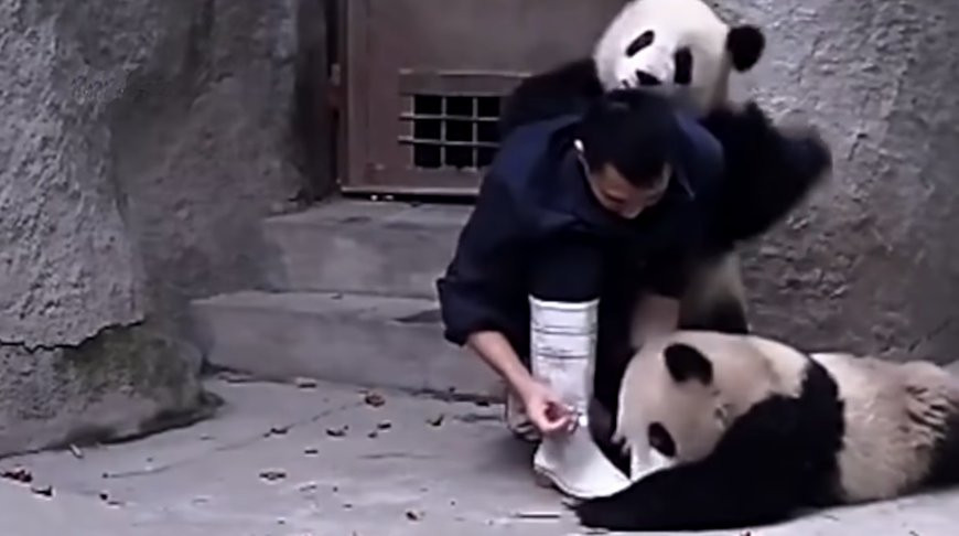 Скриншот из видео