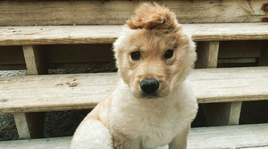 Фото из Instagram