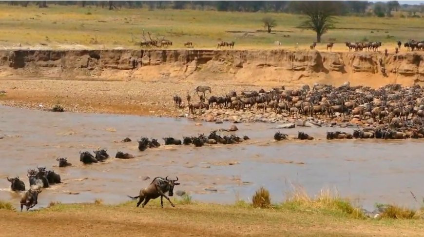Скриншот из видео
