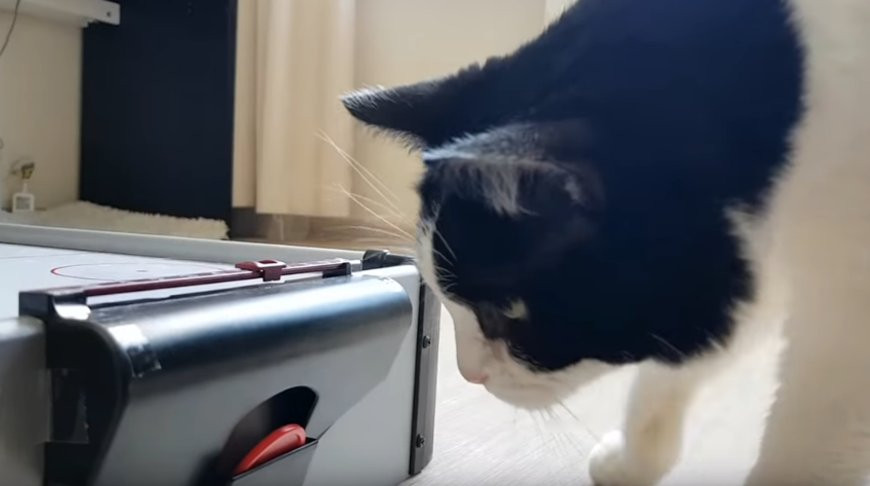 Скриншот из видео