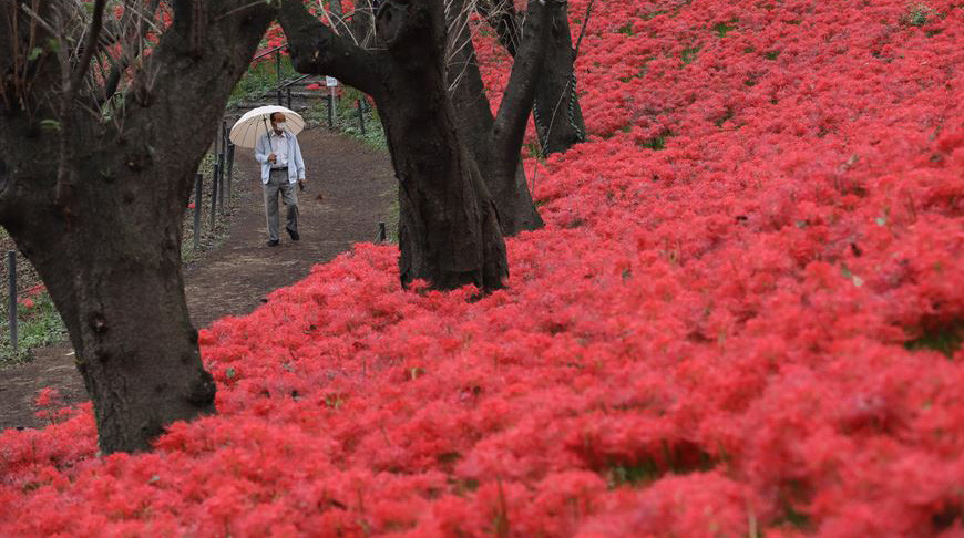 Фото China Daily