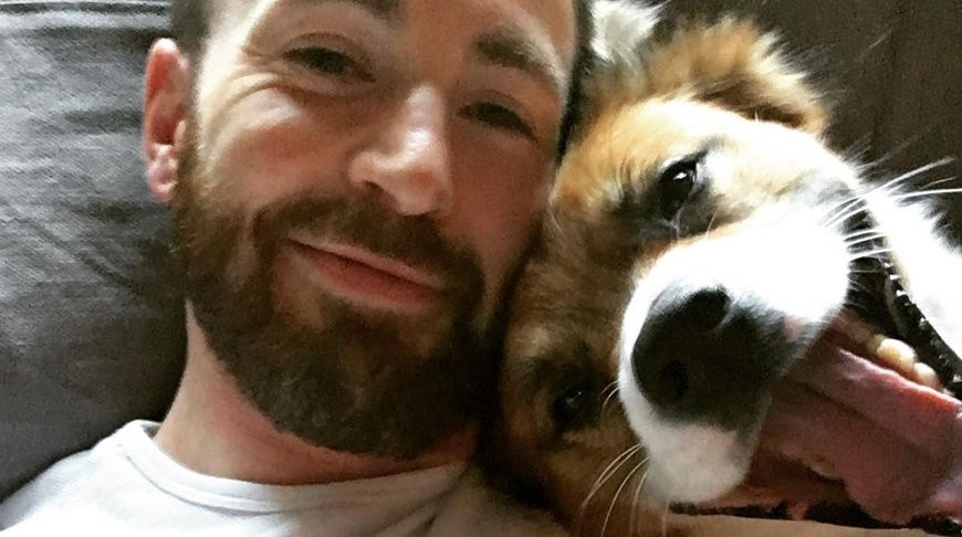 Крис Эванс. Фото из Instagram