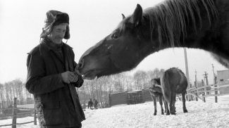 Перед эвакуацией скота. Наровлянский район, декабрь 1986 года