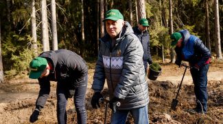 Государственный секретарь Совета безопасности Александр Вольфович во время посадки деревьев