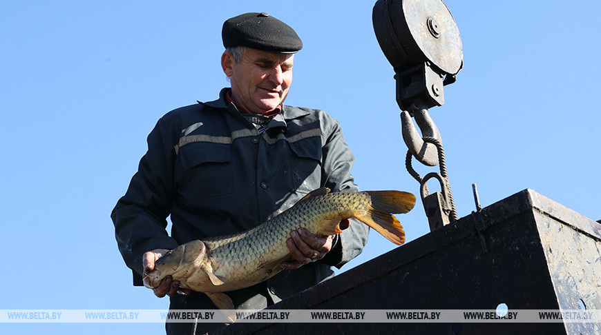 Тракторист, занятый на доставке рыбы в зимовальные ямы, Григорий Найден