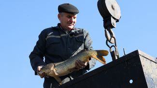 Тракторист, занятый на доставке рыбы в зимовальные ямы, Григорий Найден