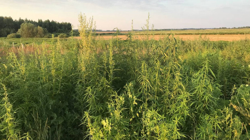 Фото УВД Гомельского облисполкома