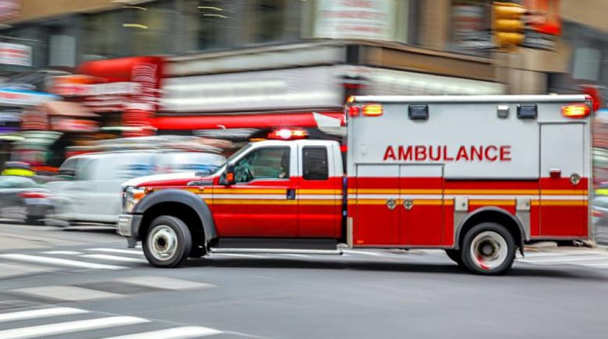 Фото shutterstock