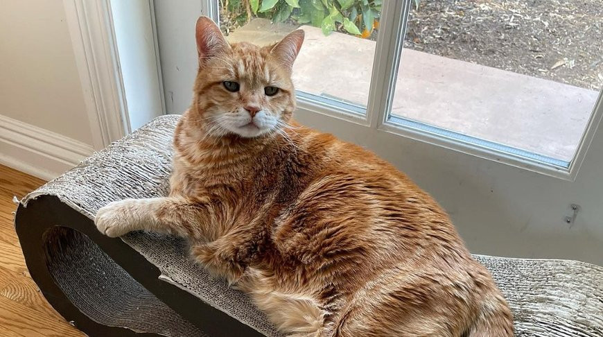 Фото из Instagram