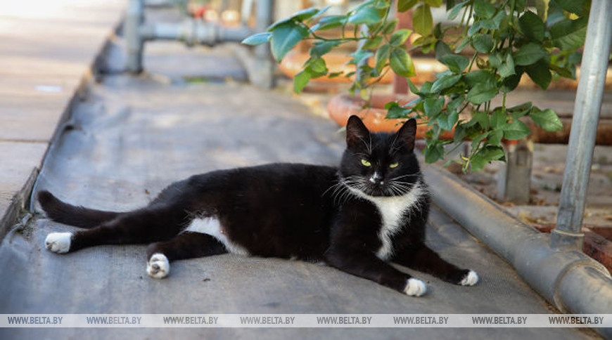 Фото из архива