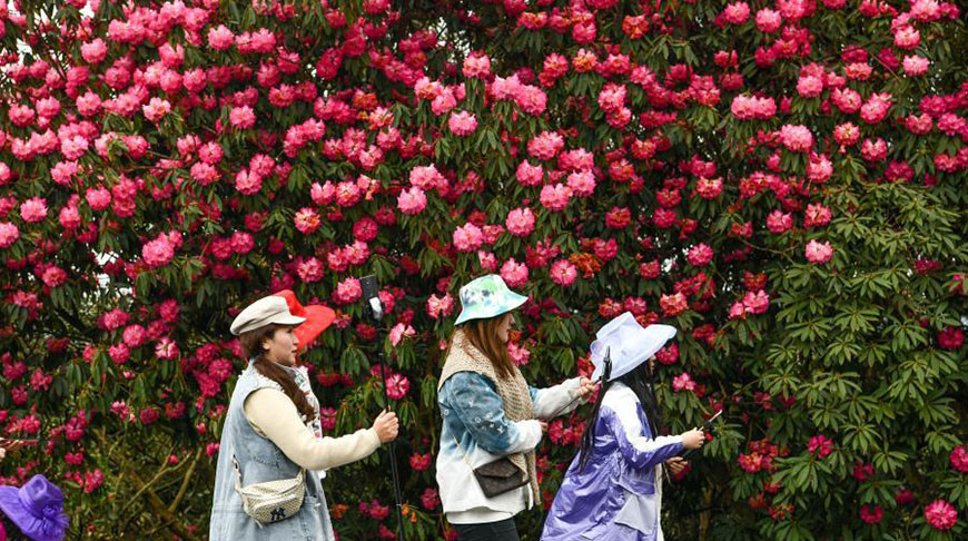 Фото Синьхуа