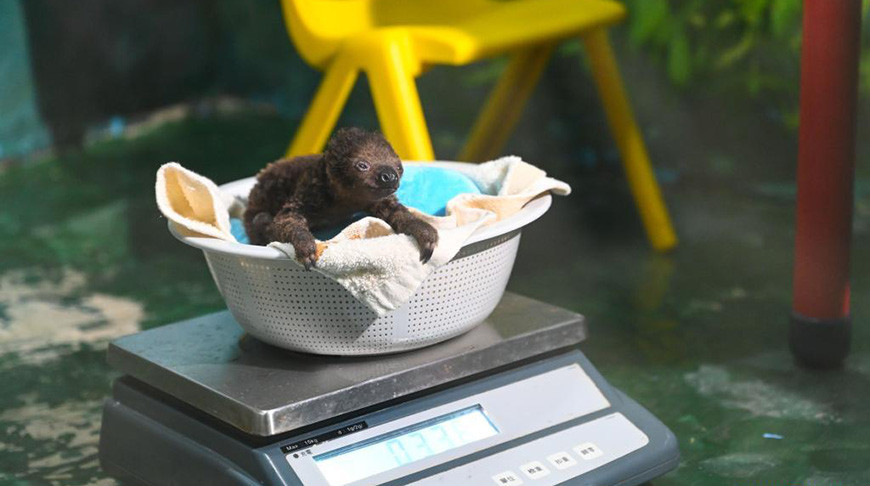 Фото Синьхуа