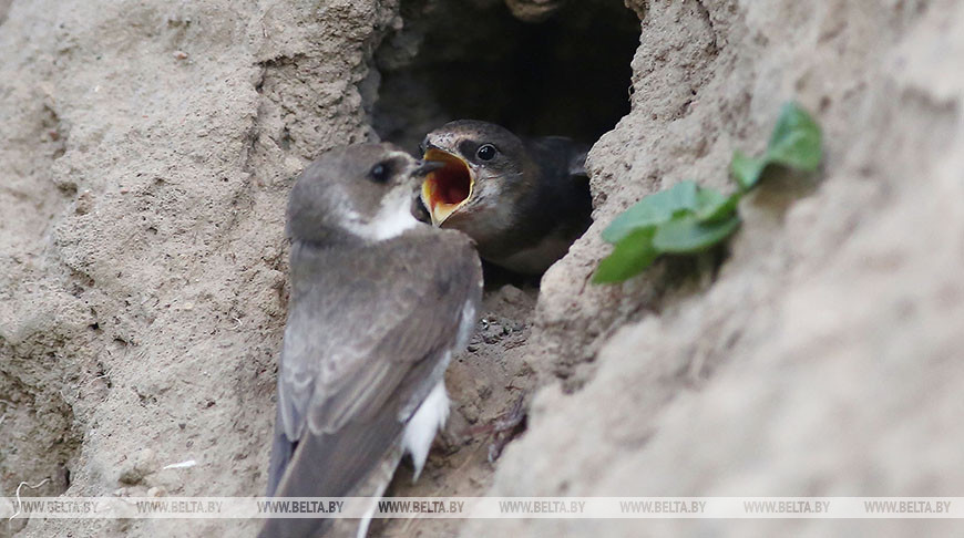 Фото из архива