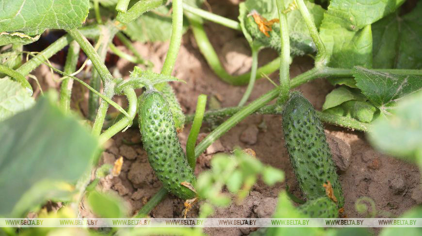 Фото из архива