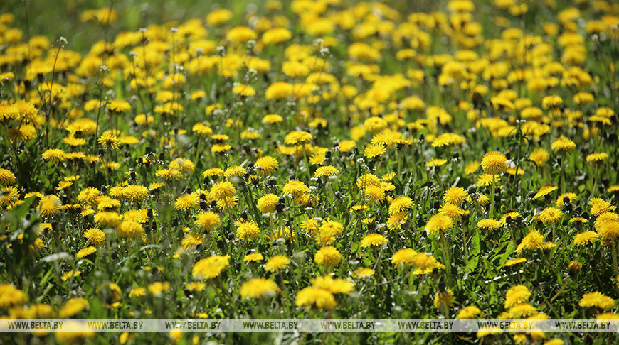 Фото из архива