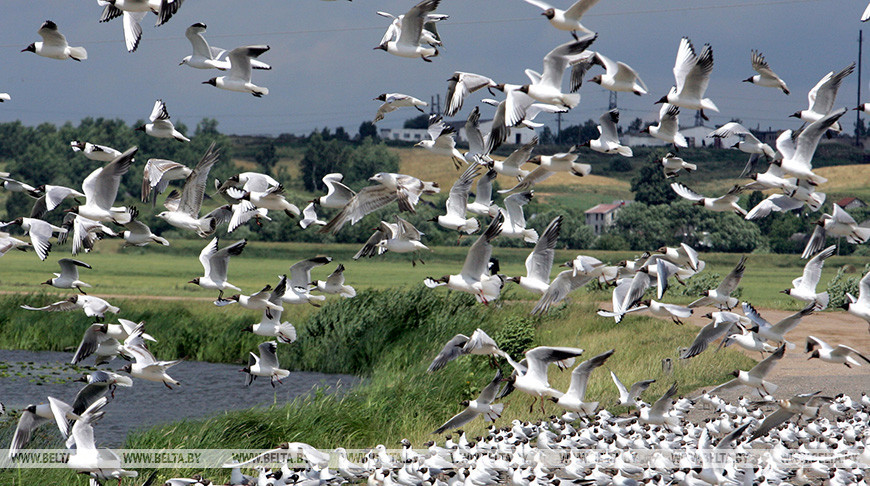 Фото из архива