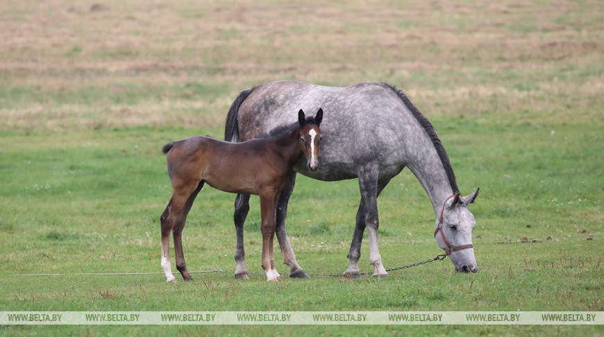 Фото из архива