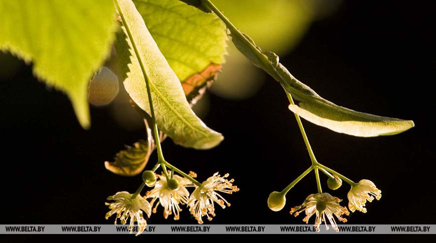 Фото из архива