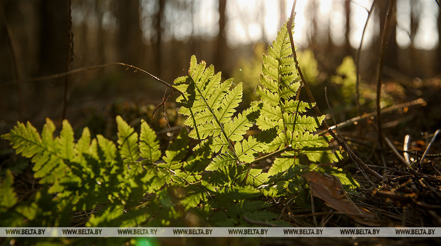 Фото из архива