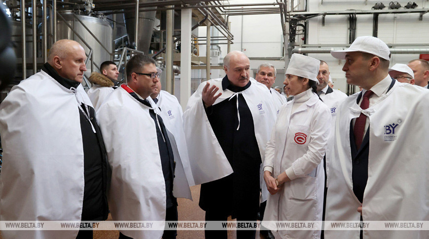 Александр Лукашенко во время посещения молочно-консервного комбината