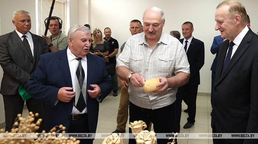 Александр Лукашенко во время посещения НПЦ НАН Беларуси по земледелию, 16 августа 2022 года