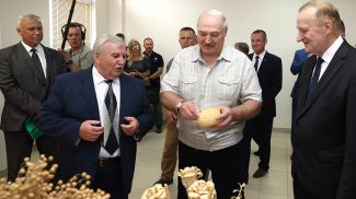 Александр Лукашенко во время посещения НПЦ НАН Беларуси по земледелию, 16 августа 2022 года
