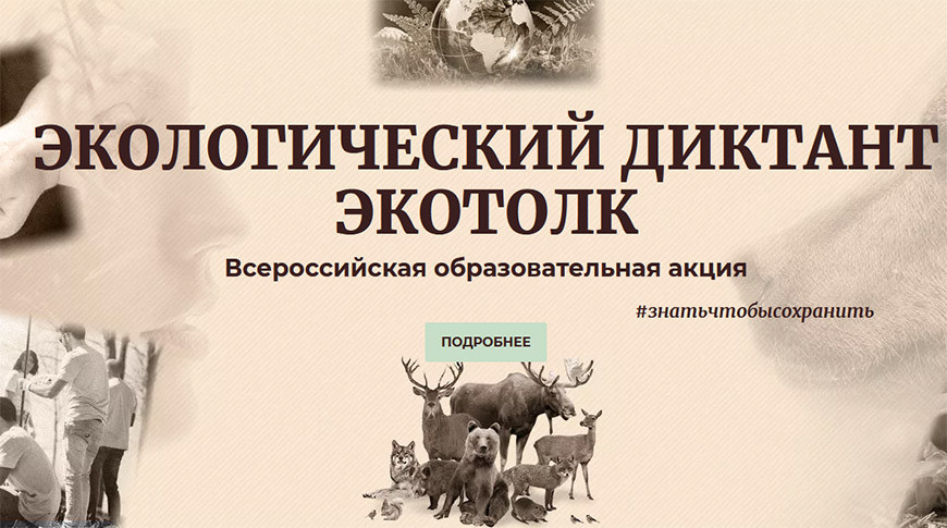 Скриншот сайта ecodiktant.ru