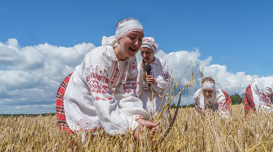 Аграрии Антрацитовского района начали уборку урожая зерновых культур (ФОТО)