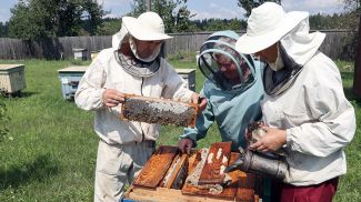 Пчеловоды пасеки (слева направо): Виктор Карась, Елена Забиран и Татьяна Карась