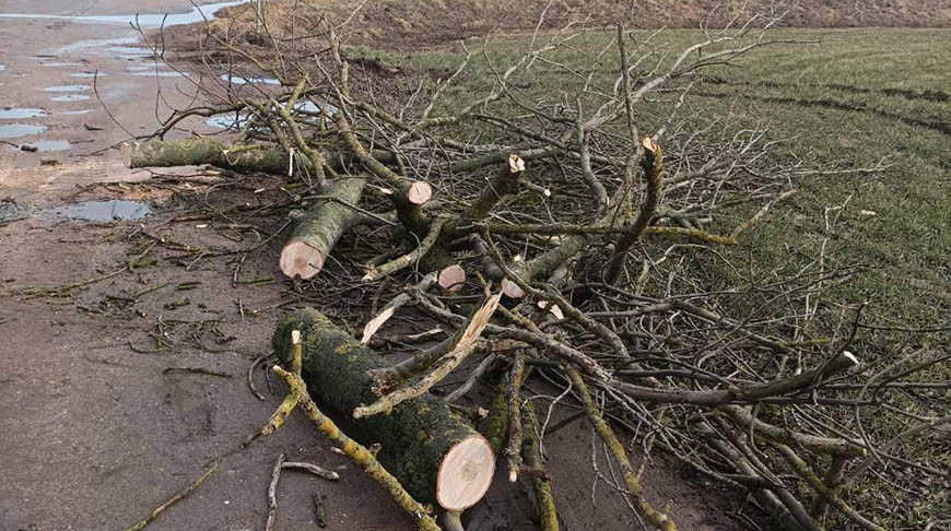 Фото Гродненского областного УМЧС