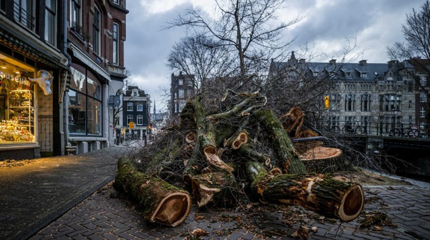 Последствия урагана в Амстердаме. Фото EPA