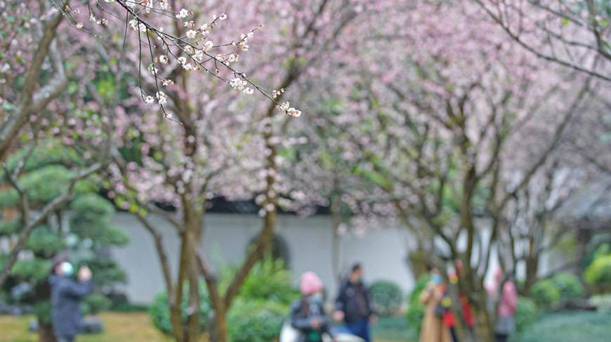 Фото Синьхуа