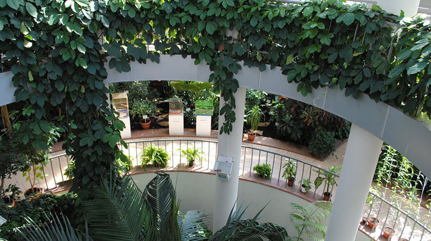 Фото ботанического сада