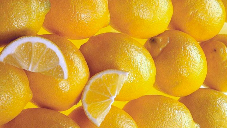 Страсть по лимонам